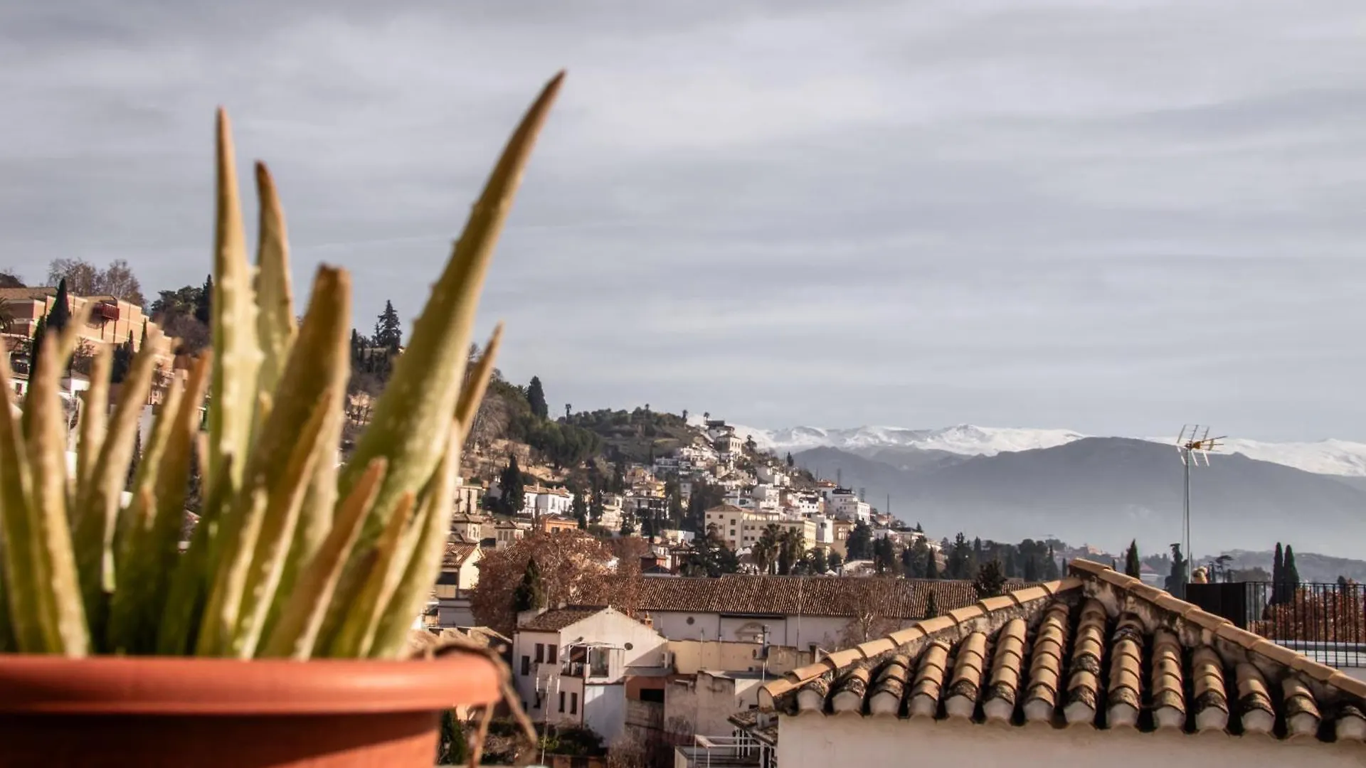 Guest house Rooms Vita Spain